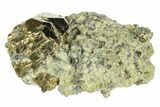 Pyrite Crystals in Matrix - Nærsnes, Norway #177277-1